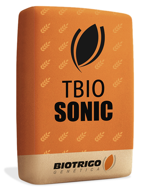 Semente de trigo TBIO SONIC Tratamento Saluzi 1ml + Vitavax Thiran 2,5ml